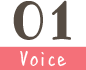 Voice01