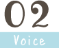 Voice02