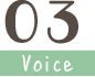 Voice03